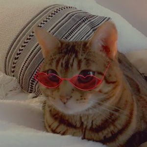 Meet your Posher, Brooke